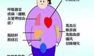 人体器官图心肝脾肺肾位置 人体五脏六腑位置图